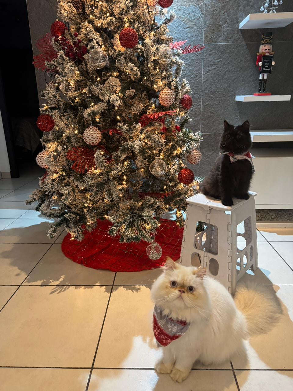 12567 PAÑUELO NAVIDEÑO FRANJAS MULTICOLOR