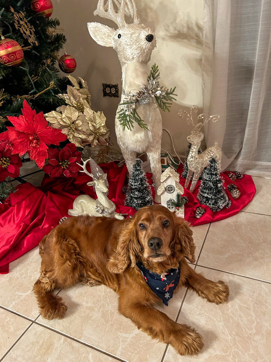 12131 PAÑUELO NAVIDEÑO AZUL - PARA BEBE O MASCOTA