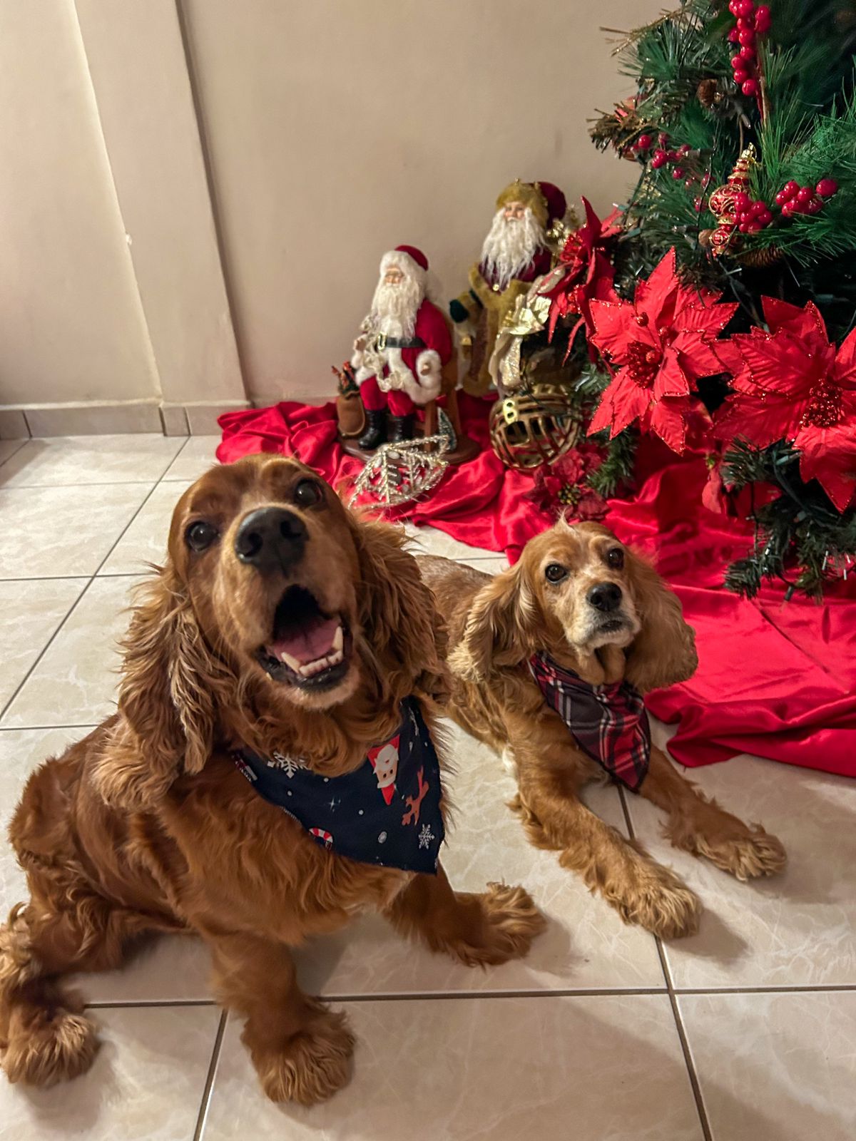 12131 PAÑUELO NAVIDEÑO AZUL - PARA BEBE O MASCOTA